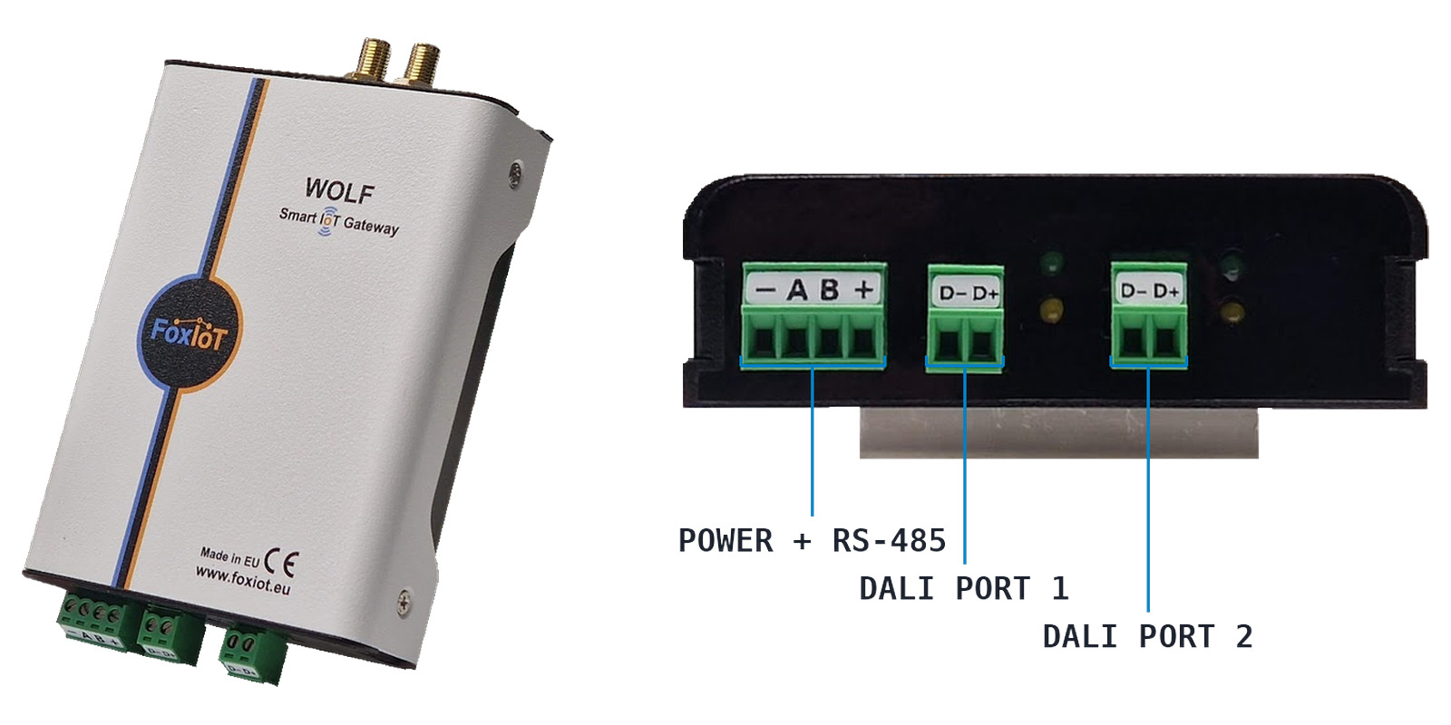 Wolf-2DALI — DALI-2 lighting control with integrated bus power